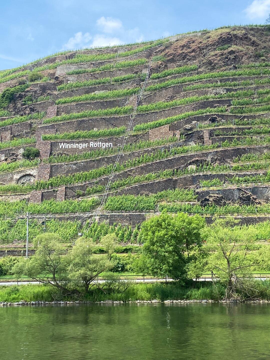 Steile Mosel-Weinlage: Der Winninger Röttgen