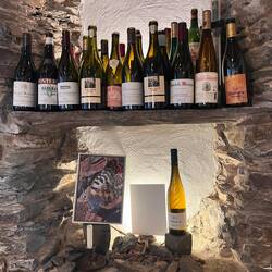 Weingut Fries und seine Freunde