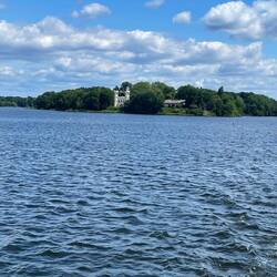 Blick auf die Pfaueninsel