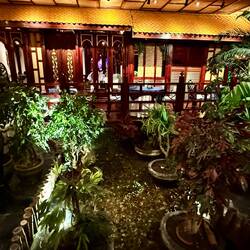 Zurück geht's wieder über den Koi Teich