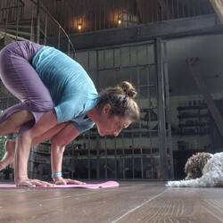 Yoga mit Hund