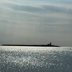 Coquet Island
