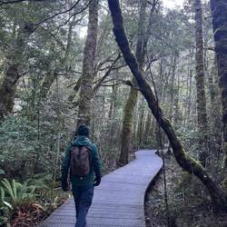 Boardwalk to the Blue Pools