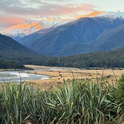 Cameron Flat camp spot as the sun goes down
