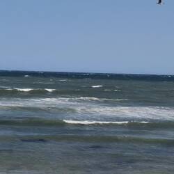 Da flog mir bald das Handy aus der Hand! 😅