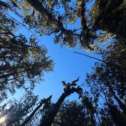 Tiny red plane dead centre...