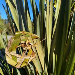 Woven wild flax weave