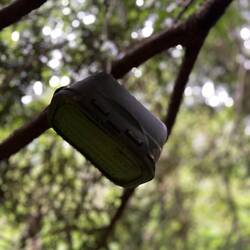 Ein Geocache hängt im Baum