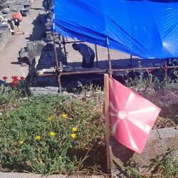 Auch heute noch gibt's Neues zu entdecken