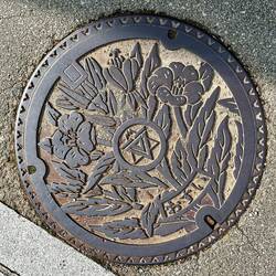 Lake Kawaguchi - Japan