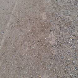 I always wonder who else has walked this path...