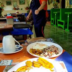 Breakfast on the terrace of Finca los maestros.