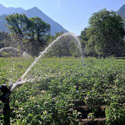 Kom sproeier, raak me, alsjeblief.