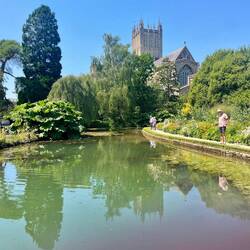 Wells cathedral and the gardens of the Bishop's Palace