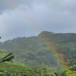 Bit of a rainbow spotted from the Le Tahiti hotel.