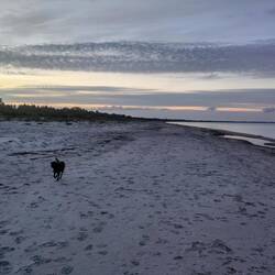Am Ende des stressigen Tages etwas Spaß am Ostseestrand