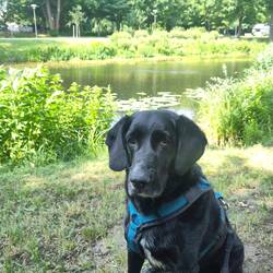 Mittagspause an der Havel in Oranienburg