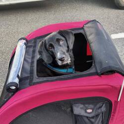 Warten auf die Fähre