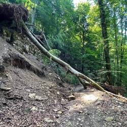 Even the deviation had some damage