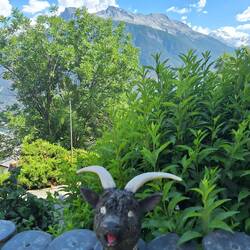 Öppis für dr Markus....