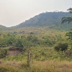 Endlich geht's weiter