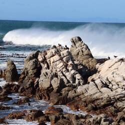 Auf den Steinen rund um die rauhe Küste...