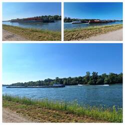 Überwiegend Berufsschifffahrt, hier sind aber auch Flusskreuzfahrer und Sportboote unterwegs