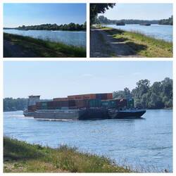 Auf dem Rückweg sehe ich die dicken Schubverbände