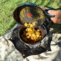 Die vorgebratenen Kartoffeln kommen in den heißen Dutchoven