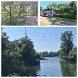 Schattiger Weg zum Motorbootclub am Altrhein