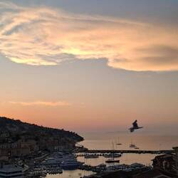 Back on the apartment balcony