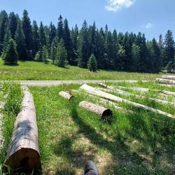 Schattiger Pausenplatz.