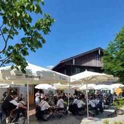 Da sitzt die ganze Bande.