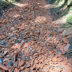 ....Dachdeckertrail!☝️