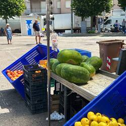 🍉