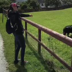 Der Hund ist der Wahnsinn - Will ich haben