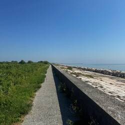 Die wurden uns aber schnell zu langsam.