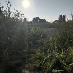 Il fait très beau à notre réveil