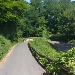 Le canal de Chalifert !