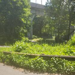 On aperçoit le canal de Chalifert !