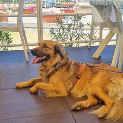 Il Pirate in Porto Ercolo- Wunderschön