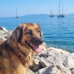 Porto Santo Stefano