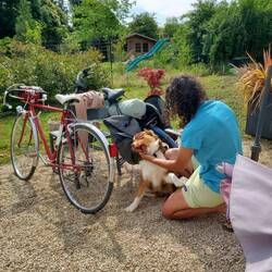 Complètement choumfliz