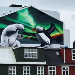 Lots of mural art in Reykjavik