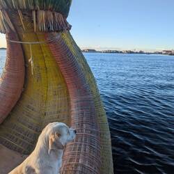 Bootstour mit Capitän