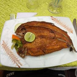 Forelle aus dem Titicacasee