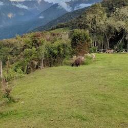 Aussicht, und Schlafplatz