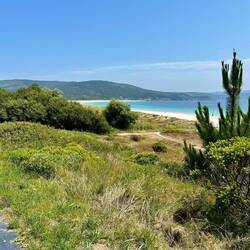 Weg zum Praia Da Langosteira