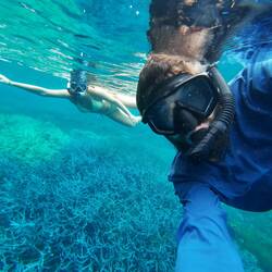 Exploring coral garden 🪸