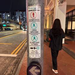 Damit auch jeder versteht wie die Ampel zu benutzen ist...